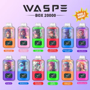 Wholesale WASPE 20000 PUFFS Dual Mesh Box Disposable Vape Pen with Dual Mesh Box and LCD Display Available in 0% 2% 3% 5% Nicotine and 24ml Capaci ( (6)